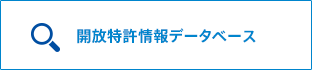 解放特許情報データベース