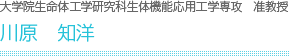若手研究者フロンティア研究アカデミー 准教授　川原知洋
